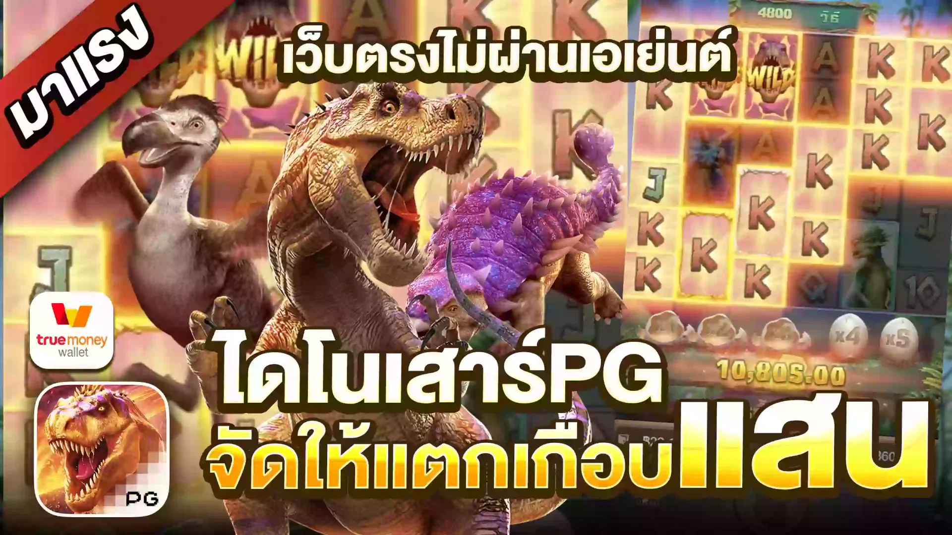 สล็อตpgเว็บตรง